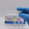 High Accuracy Freeze-dried Monkeypox Virus Pcr DetectionTest Kit