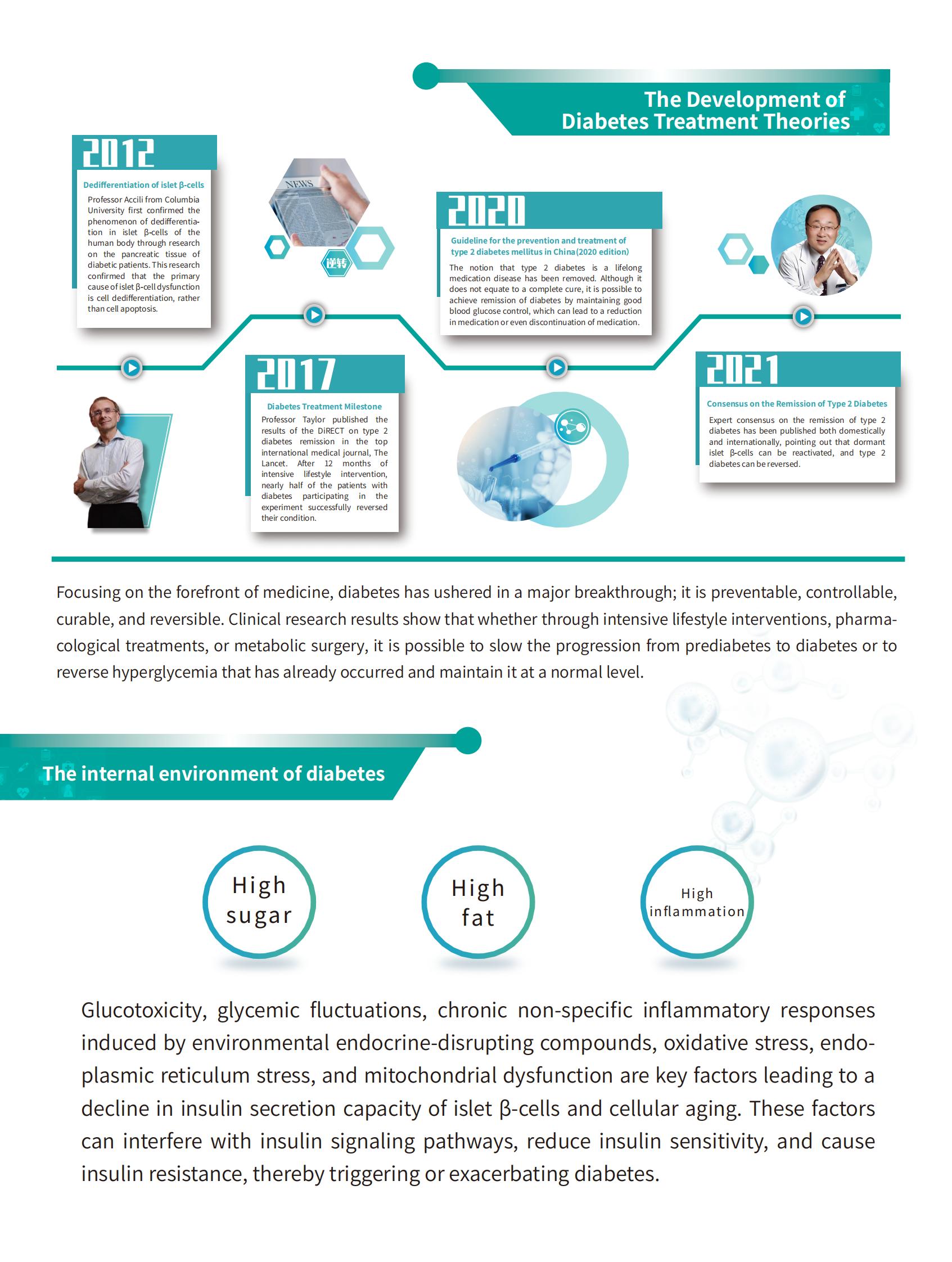 diabetes treatment theory