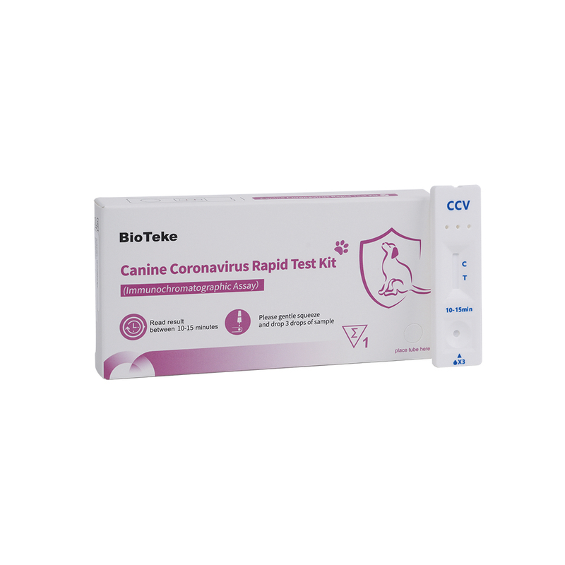 canine coronavirus test