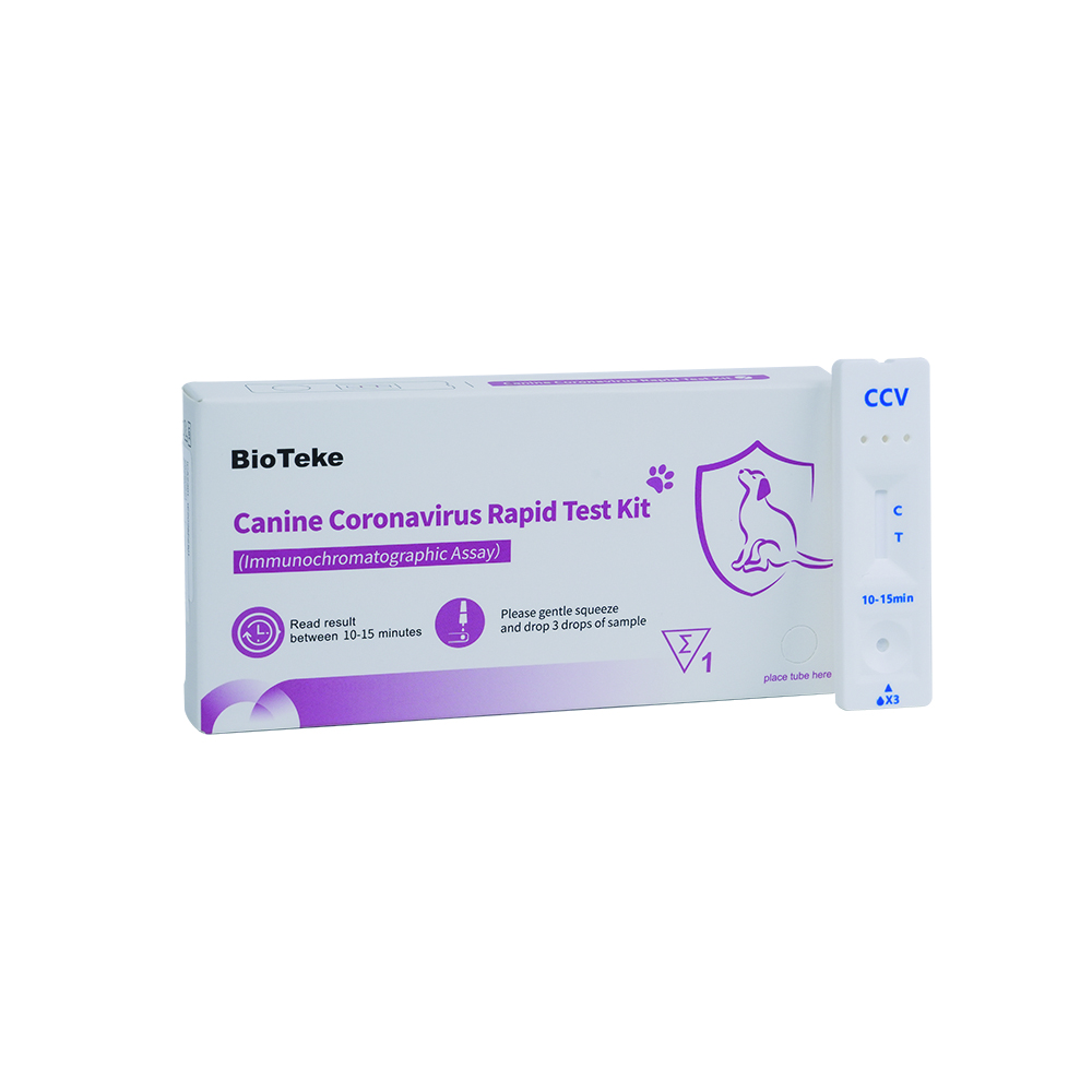 canine coronavirus test kit