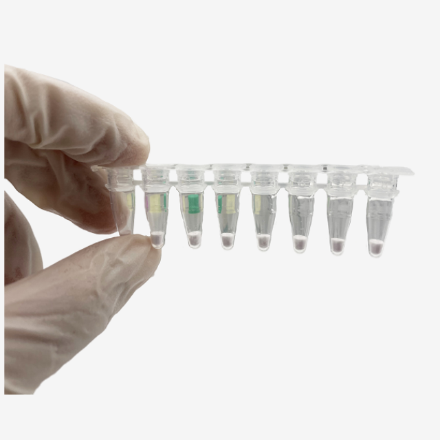 Factory Price Cov-19 Lyophilization PCR Examining reagent