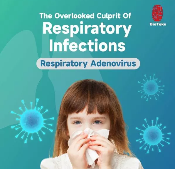 Adenovirus, A Commonly Overlooked Killer of Respiratory Infections