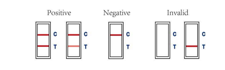 INTERPRETATION OF TEST RESULTS