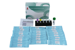 hpv pcr panel