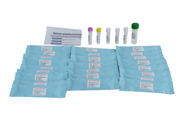 hpv genotyping kit