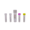 Sexually Transmitted Infection (STI) Screening Kit (Fluorescence PCR Method)