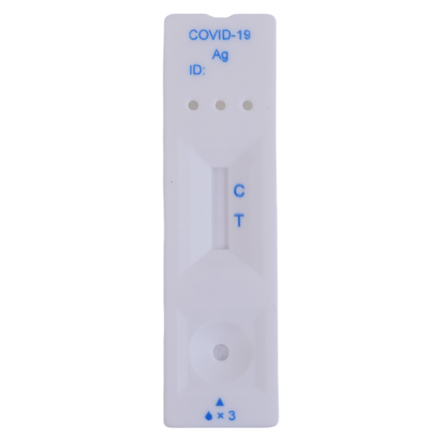 covid rapid test