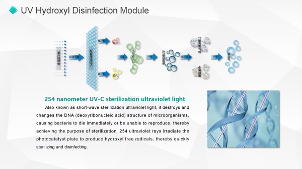 Dual-band UV hydroxyl sterilization